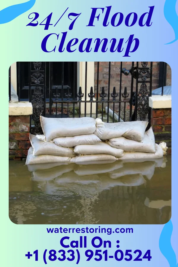 24/7 Flood Cleanup in Cooksville, IL