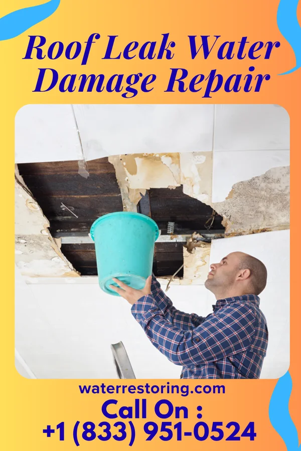 Roof Leak Water Damage Repair in Cooksville, IL