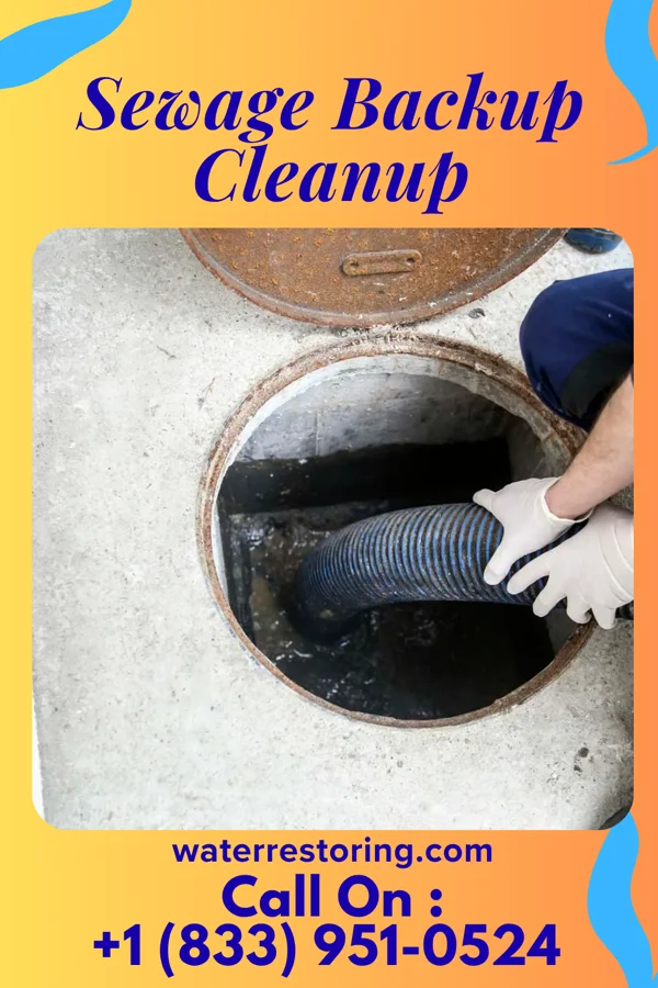 Sewage Backup Cleanup in Cooksville, IL