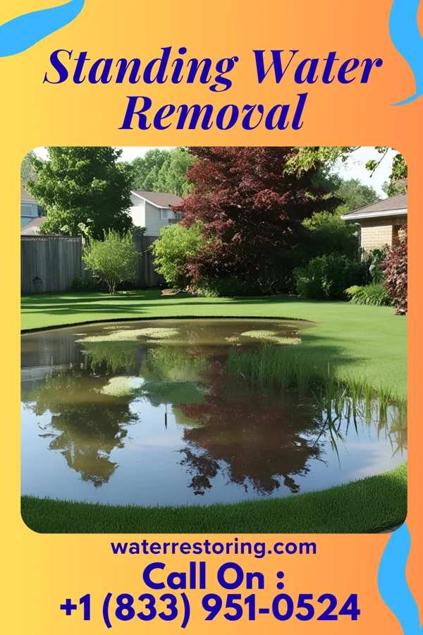 Standing Water Removal in Cooksville, IL